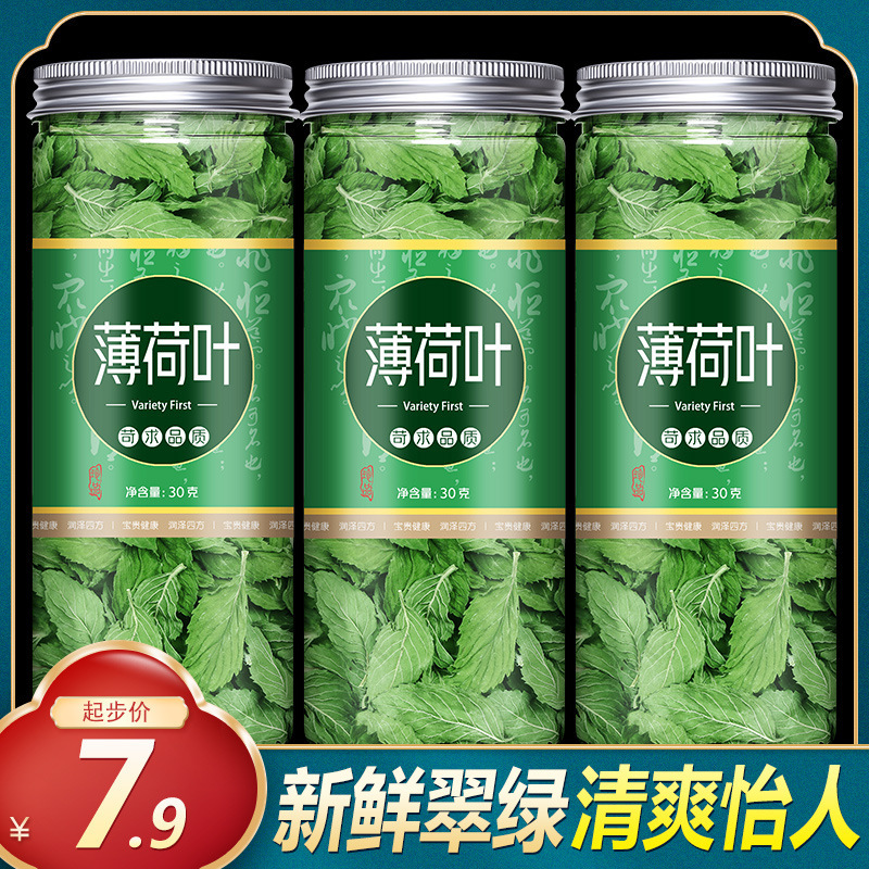 Mint Leaf Tea, Fresh Dried Mint That Is Edible, Can Be Used to Make Tea, a Refreshing Summer Beverage