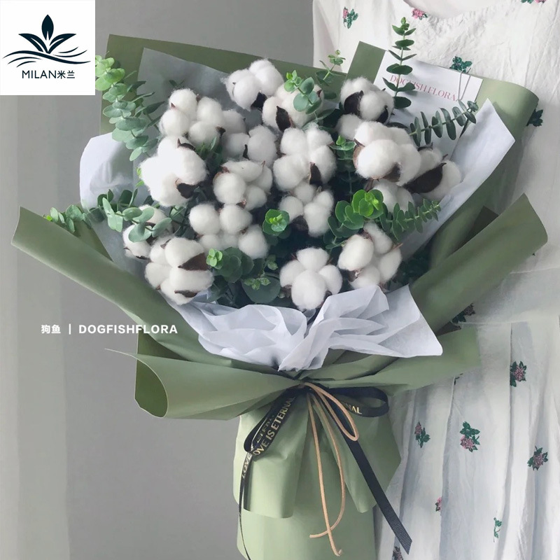 Milan algodón natural flor seca ramo de flores material de embalaje hecho a mano DIY flor eterna accesorios de tiro de algodón de madera