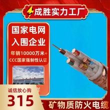 礦物電纜 BTTRZ RTTZ YTTW BTTWY柔性銅管防火礦物絕緣電纜