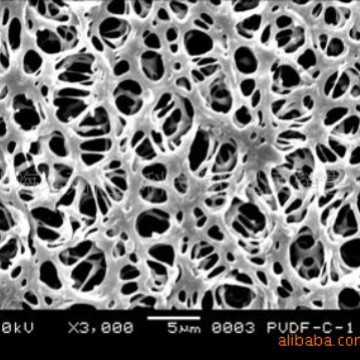 疏水聚偏氟乙烯（PVDF）微孔过滤膜