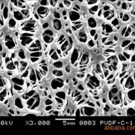 疏水聚偏氟乙烯（PVDF）微孔过滤膜