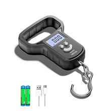 迷你手提电子秤50kg便携式高精度家用快递称小秤弹簧小型