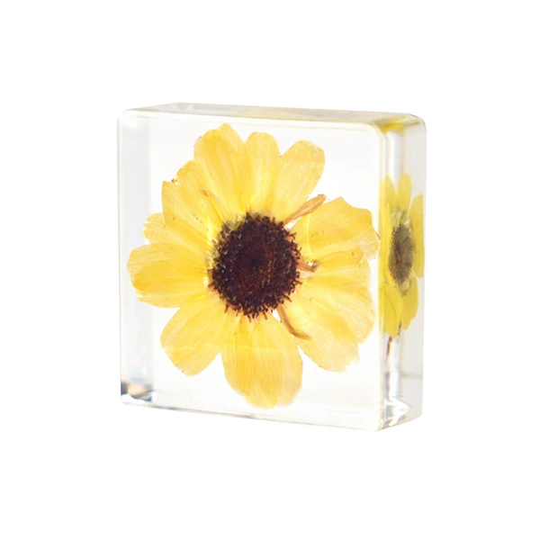 3.8cm small square small sunflower