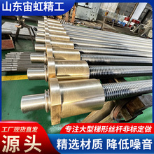 精密双向梯形丝杆丝杠厂家不锈钢梯形丝杆螺母大螺距丝杠铜螺杆