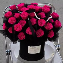 �������������·��滨�������߼��л�����Ů���|�ۋDŮ�����նY��