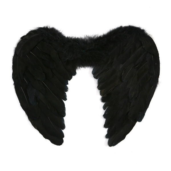 45*35cm black wings