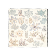 zŮ2024¿58cmzpӡzëСƇи߶