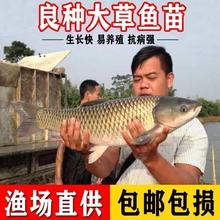 ���|���~�絭ˮ���w�Bֳ�����~��·���~���������a�~���~�~�����