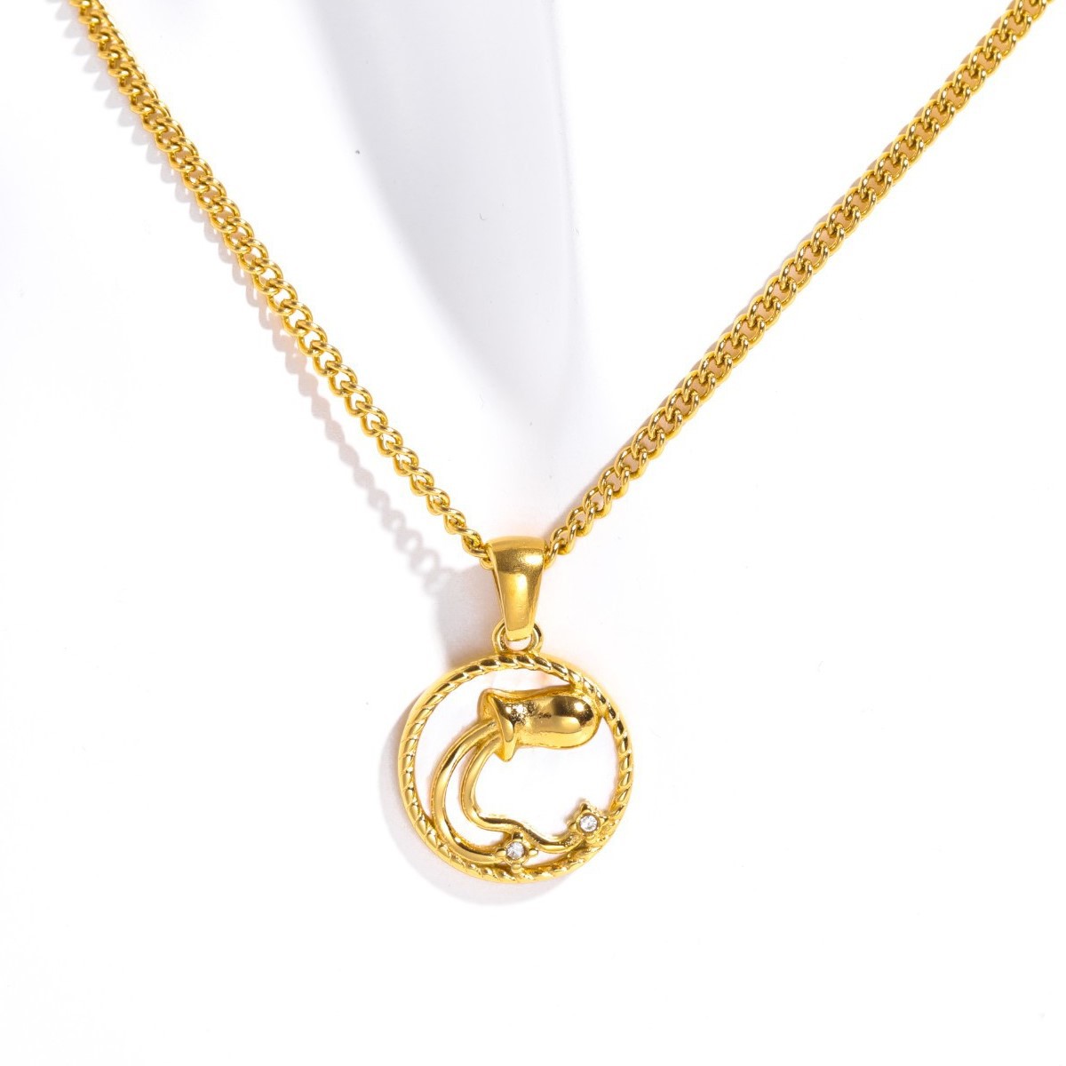 Collar Moneda del Horóscopo, 12 Signos, Bañado en Oro image 17