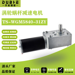 5840-31zyタービンウォーム直流減速モータ12v24調速セルフロック歯車大トルク二軸モータ
