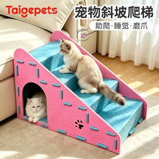 泰迪狗的生活用品