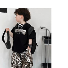 ��ͯ�ļ����b2026�¿�̽���T����Сͯ���y��ѝ����r�փɼ��׳�