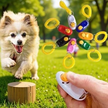 ���l�����Ƭ����Ӗ���� Ӗ���ƬCLICKERӖȮ������Ӗ����Ʒ����