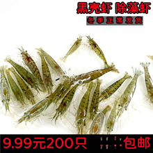 �ښ��r�����r�r���^�p�r�坍���r��ˮ�r���w�ѻ��r���r�ͻ���ˮ�r