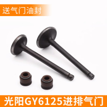 厂家批发摩托车气门油封光阳豪迈GY6125/150踏板车进排气门配件