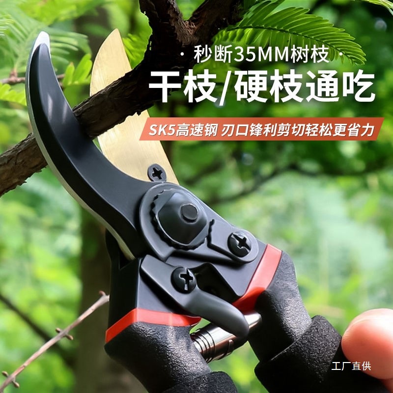 Corte de ramas de acero de importación alemana jardinería horticultura árboles frutales cortar ramas gruesas tijeras de flores especiales JUNXIA