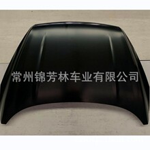 �����ڸ�������2017���� HOOD KUGA/ESCAPE 2017 GV41S16612CA