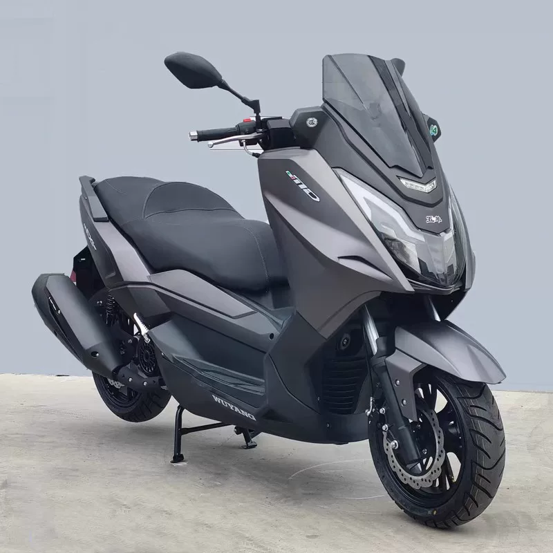 Guosi Ya Mahajest T10 крупный педальный 250cc Tae Rong большой корабль T9 круизный туристический крупный мотоцикл