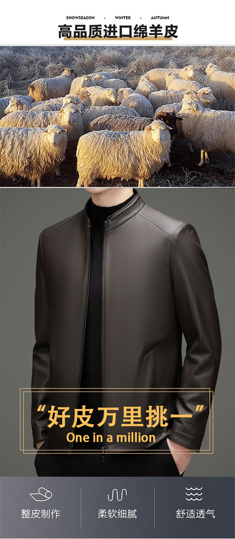 A顶部-皮衣_05.jpg