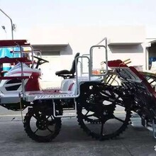 ���R�S�޳��l�ֵ²���C ������������R��嵾�C