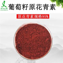 葡萄籽花青素95% 葡萄籽提取物原花青素 OPC95%源头工厂 1KG起订