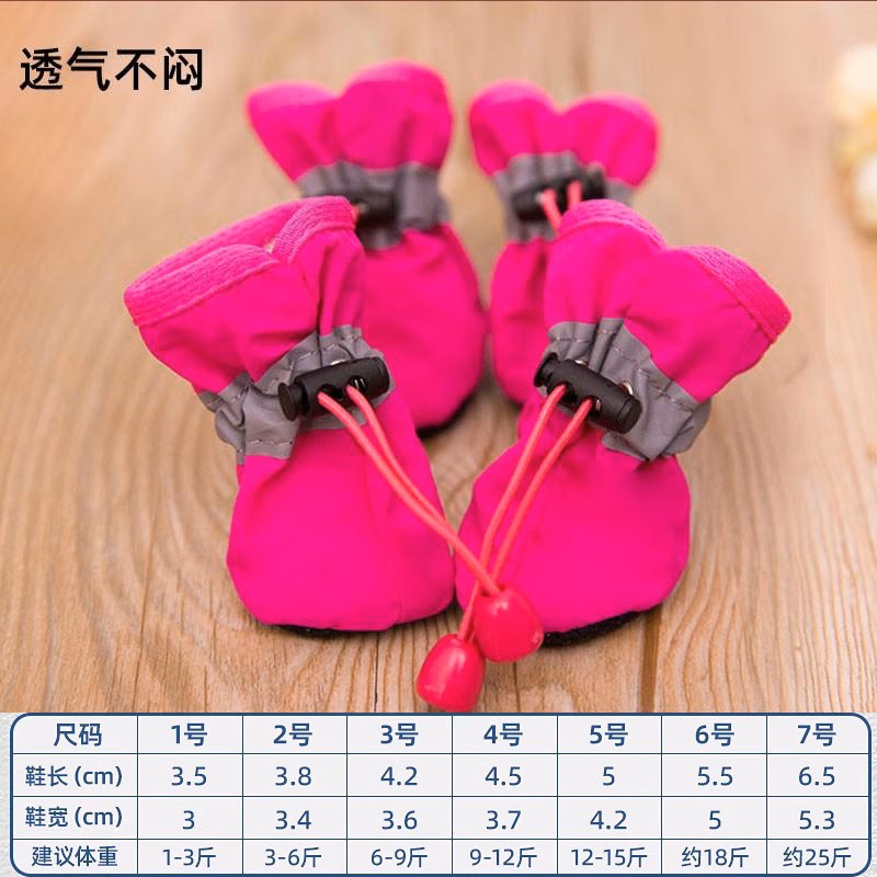 로즈 레드 신발