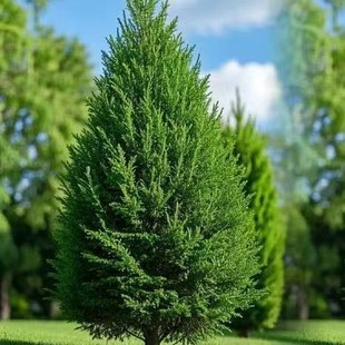 ���ؘ����ɘ���Ȱؘ������ؘ����ɰؘ����ļ����������ɾG����