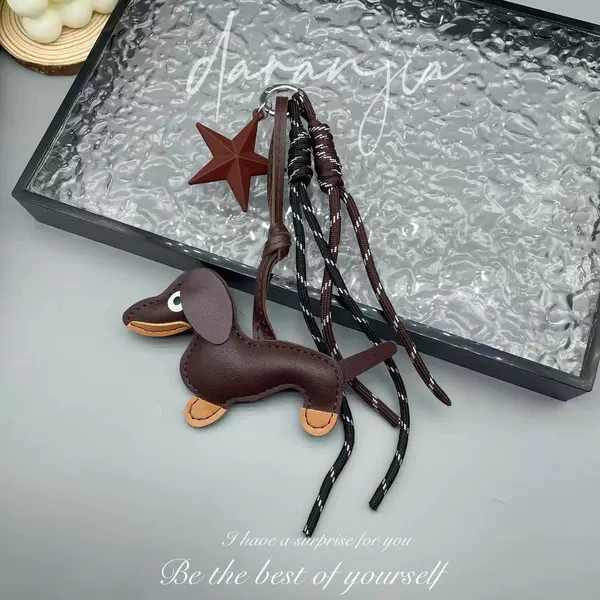 Brown star dachshund
