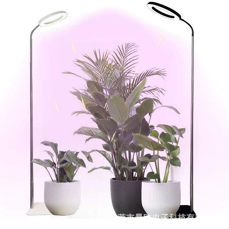 160 больших дисков комнатные сочные цветы можно регулировать высоту 10w