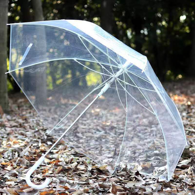 Transparent Sweet Umbrella Long Handle Frosted Women's Internet Celebrant Korean-style Thickened Student Women's Small Fresh Student High-grade Umbrella