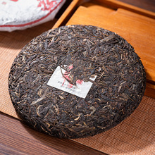 2023�������357�˾o���ն�������~�N����ë�����l�ɂ}