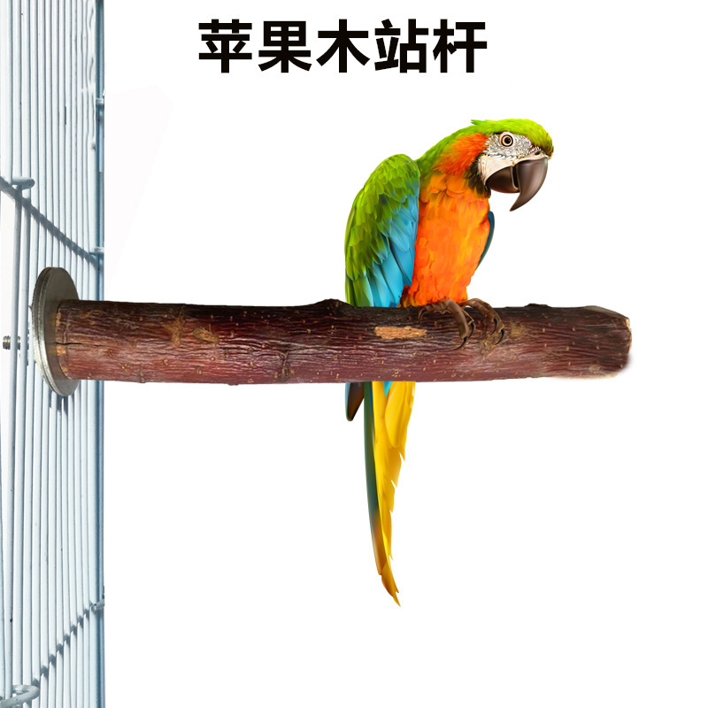详情-06