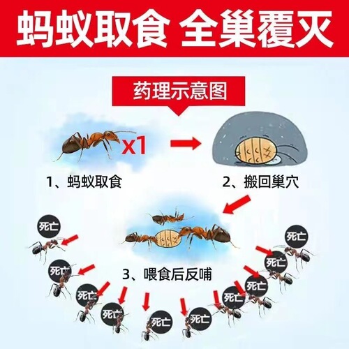 Ant-killing medicine for household use in the kitchen, powerful non-toxic vegetable field flower pots, wild ants, whole-nest ant powder