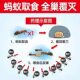 Ant medicine cockroach medicine household whole nest end non-non-toxic kitchen indoor kill and eliminate ants net insecticidal powder bait
