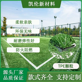 跑道草坪;其他合成胶;TPE