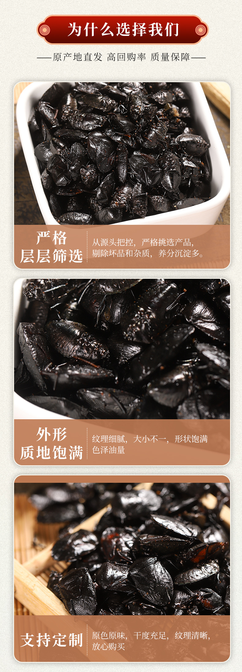 Jiu Xiang Chong (Aspongopus chinensis) — Dried TCM Herb, 500g Powder key features