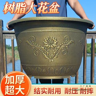 �ش�̖�¹żӺ��֬��������F������B�~�ɻ�˯ɏ�辰����