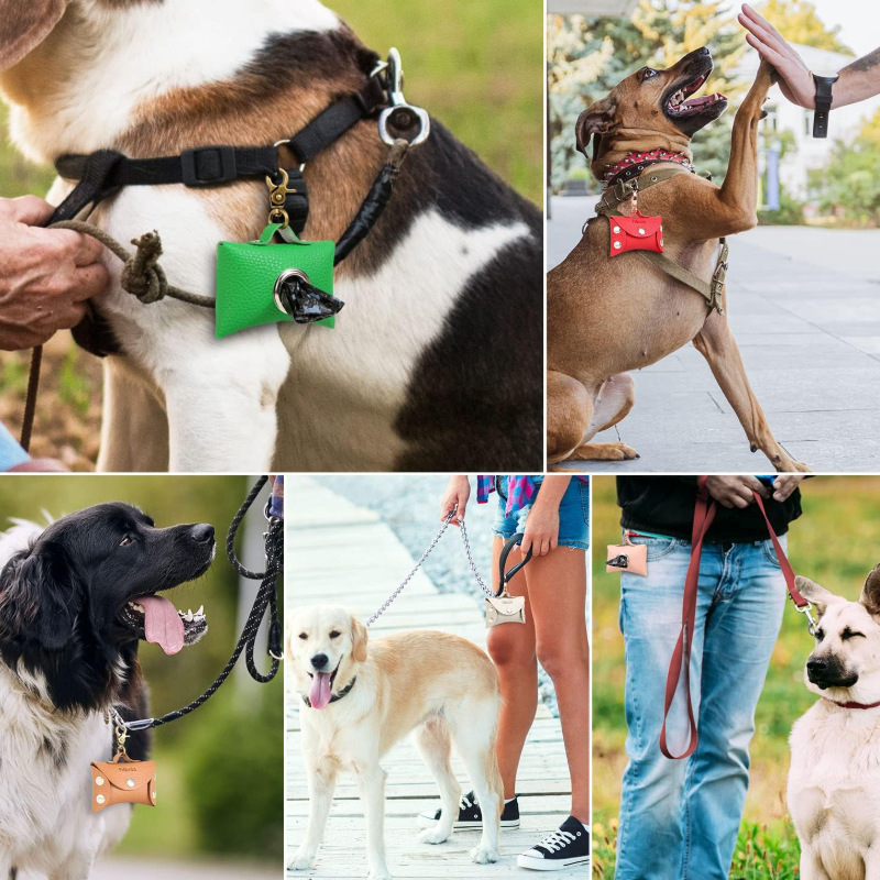 O1CN01GFQgtZ1cL48jaV7SD_!!2218310633583-0-cib.jpg?__r__=1740467463766