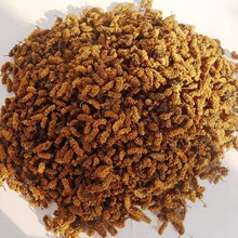 �a��ֱ����ɣ����ș��ɣ�ظ��½��Sɣ�ظɺ�ɣ驰�ɣ�ظ�ɣ��