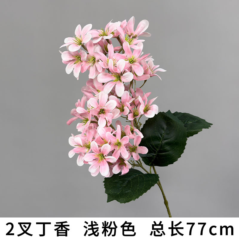 3갈래 제비 연분홍색