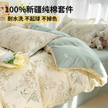 2025�¿����Ʒ�ļ��׼���100ȫ�޴��α����ļ���������������4