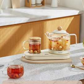 歌林 利尔养生组合套 L-GL9435C 养生壶 家用办公室多功能小型