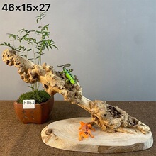 �����������،m���挍ľ��̨�������쾰�߽޽��،m�쾰�����Ʒ