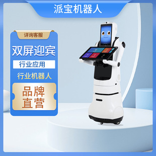 Paibao Industry Robot X2 (Basic Navigation Edition) Double Screen Commercial Welcome Reception Guide Voice Explanation