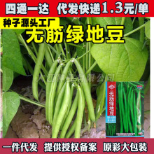 oGض˶ܶļNӴ＾ôܵǲ