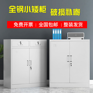 Office Cabinet Office Iron Filing Cabinet Low Cabinet File Information Tool Storage with Lock Home Drawer Storage Cabinet