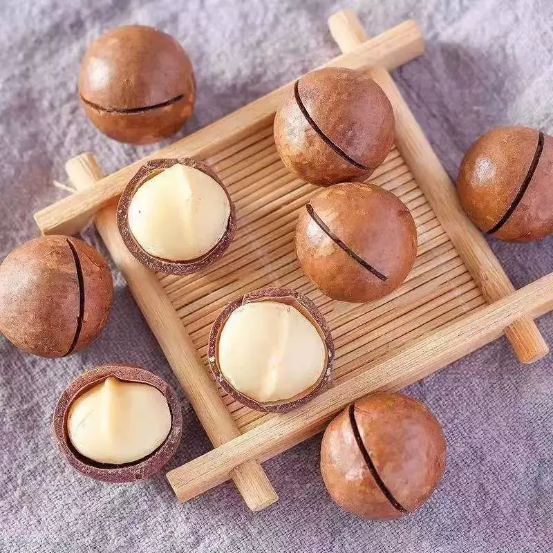 加工定制奶油夏威夷果薄皮批发500g 开口大颗粒夏威夷果