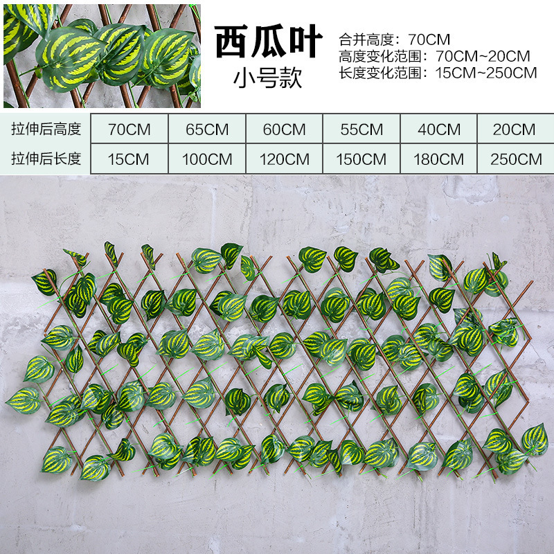 18201771888_77184706