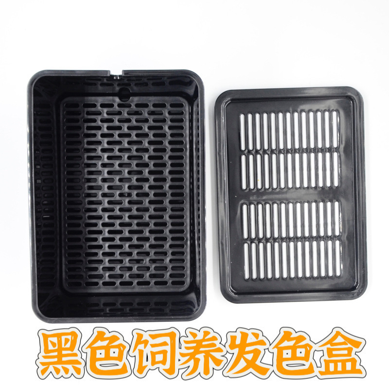 乌龟发色盒幼龟孵化饲养盒蛋龟加温黑白隔离龟苗饲养套盒带沉淀板|undefined