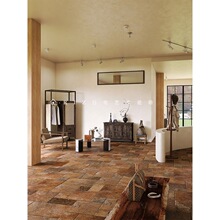 �ɴu�شu���Rķʯ�|�и����й��ݹ�ͥԺ��������Ƶ����ޕ�������